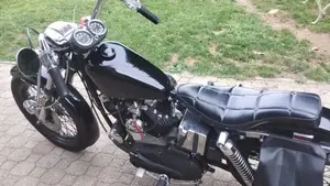 Harley-Davidson   (4)