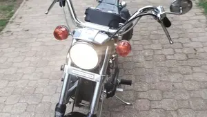 Harley-Davidson   (10)