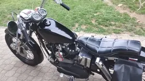 Harley-Davidson   (7)