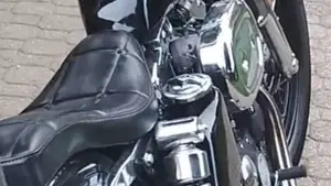Harley-Davidson   (8)