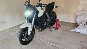 Honda CB 1000 R (2008 - 10)  (15)