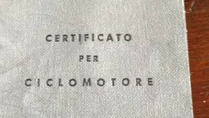 Moto Guzzi   (6)
