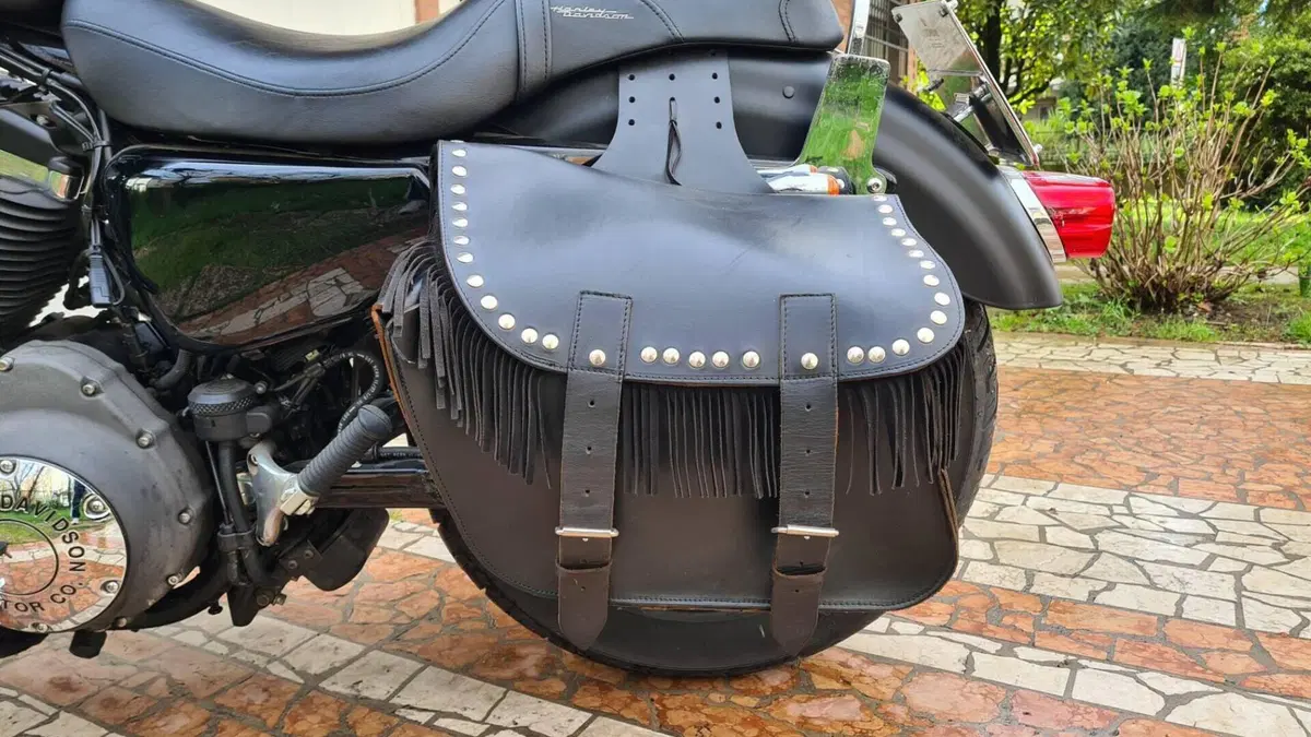 Harley-Davidson XL 1200N Nightster (2008 - 12)  (4)