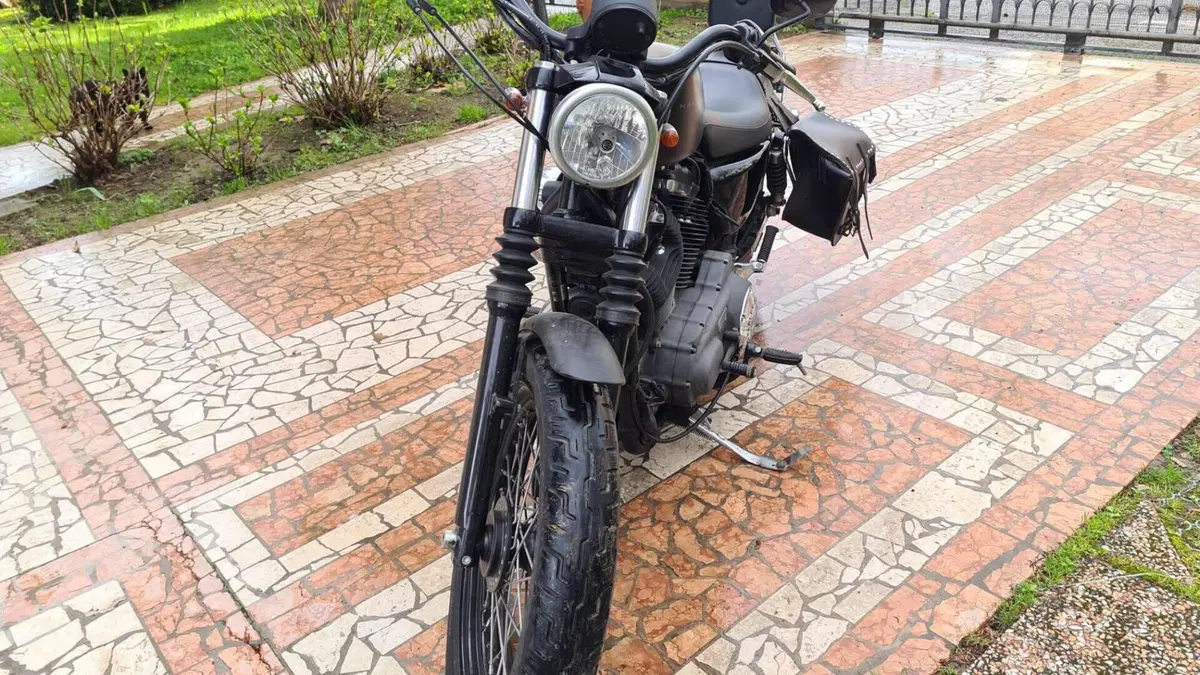 Harley-Davidson XL 1200N Nightster (2008 - 12)  (7)