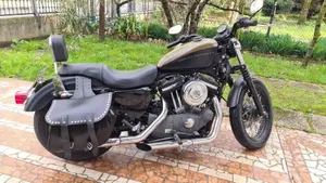 Harley-Davidson XL 1200N Nightster (2008 - 12)  (8)