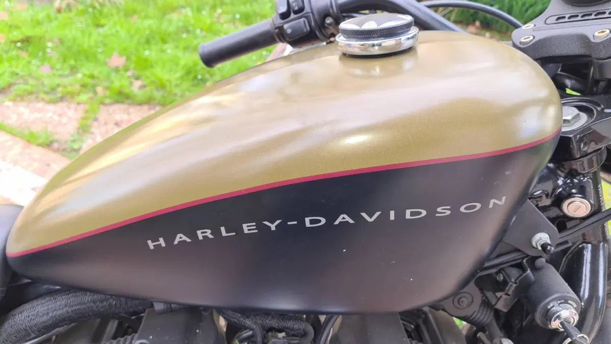 Harley-Davidson XL 1200N Nightster (2008 - 12)  (9)