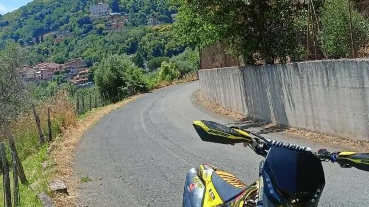 Suzuki RM-Z 250 (2011 - 2012)  (6)