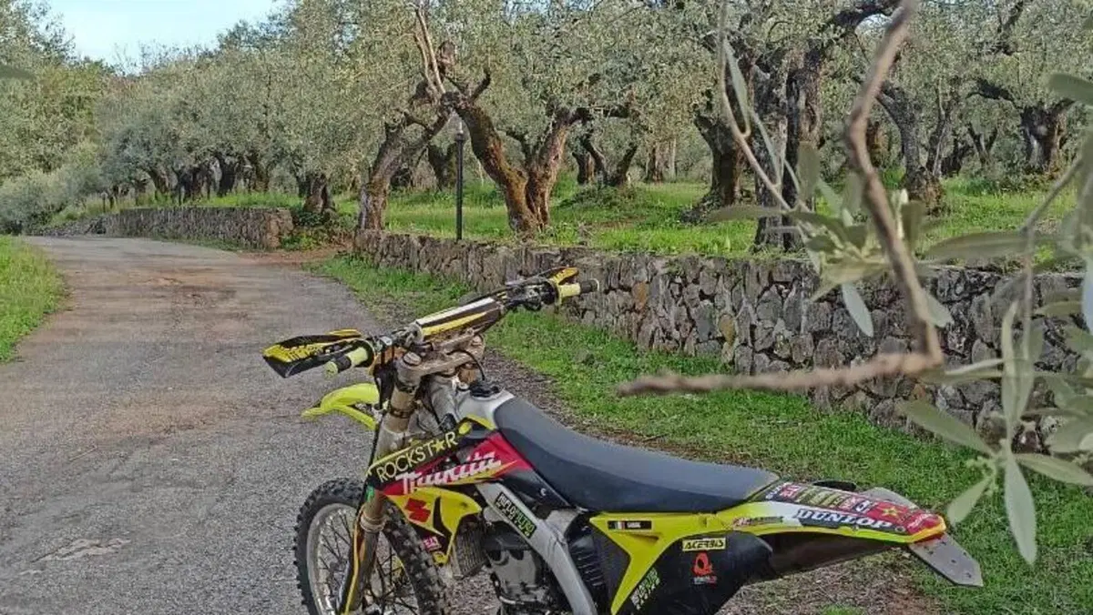 Suzuki RM-Z 250 (2011 - 2012)  (8)