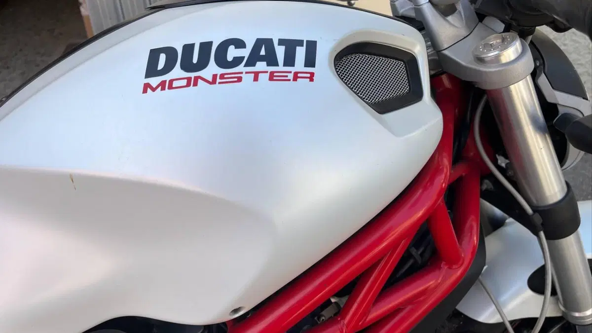 Ducati Monster 796 (2010 - 13)  (6)
