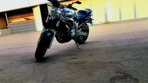 Yamaha FZ6 (2004 - 07)  (2)
