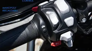 Triumph Tiger 1200 GT Pro (2022 - 23)  (16)