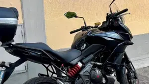 Kawasaki Versys 650 ABS (2015 - 16)  (3)