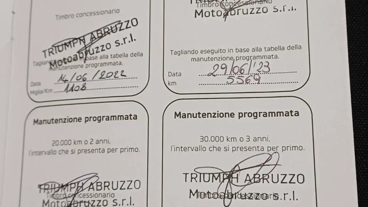 Triumph Tiger 900 GT Pro (2020 - 23)  (9)