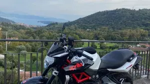 Aprilia Shiver 750 ABS (2010 - 17) 