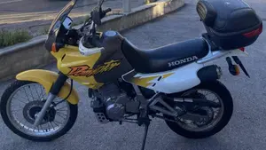 Honda NX 650 Dominator (1996 - 02)  (3)