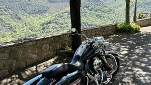 Harley-Davidson 103 Road King Classic (2014 - 16) - FLHRC  (3)