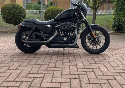 Harley-Davidson 883 Iron (2009 - 11) - XL 883N - Annuncio 10005111