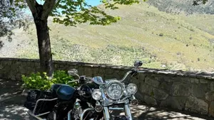 Harley-Davidson 103 Road King Classic (2014 - 16) - FLHRC  (6)