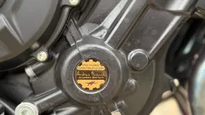 MV Agusta Brutale 800 Rosso (2021 - 23)  (6)