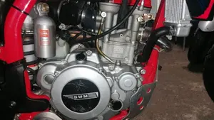 Swm RS 300 R (2017 - 20)  (2)