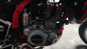 Swm RS 300 R (2017 - 20)  (6)