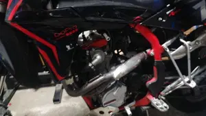 Swm RS 300 R (2017 - 20)  (7)