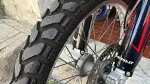 Swm RS 300 R (2017 - 20)  (9)