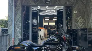 Harley-Davidson Road King Special (2021 - 25)  (6)