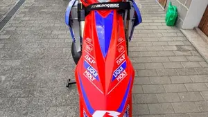 Betamotor RR 300 2T Enduro Racing (2023)  (7)