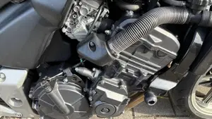 Honda CBF 600 (2004 - 06)  (2)