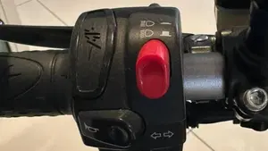 MV Agusta Brutale 1090 (2012 - 15)  (13)