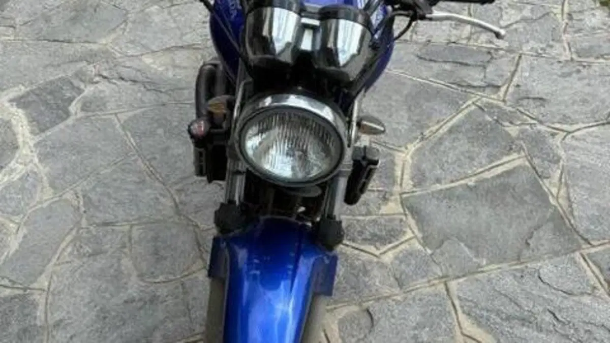Honda Hornet 600 (2000 - 02)  (4)