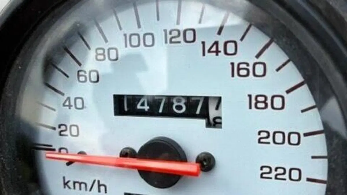 Honda Hornet 600 (2000 - 02)  (5)