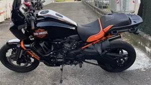 Harley-Davidson Pan America 1250 (2020 - 25)  (4)