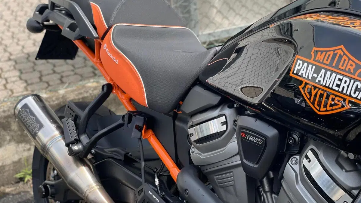 Harley-Davidson Pan America 1250 (2020 - 25)  (6)