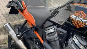 Harley-Davidson Pan America 1250 (2020 - 25)  (7)