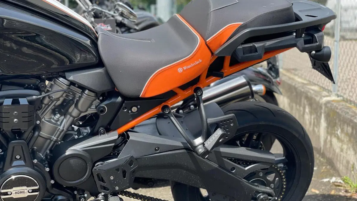 Harley-Davidson Pan America 1250 (2020 - 25)  (7)
