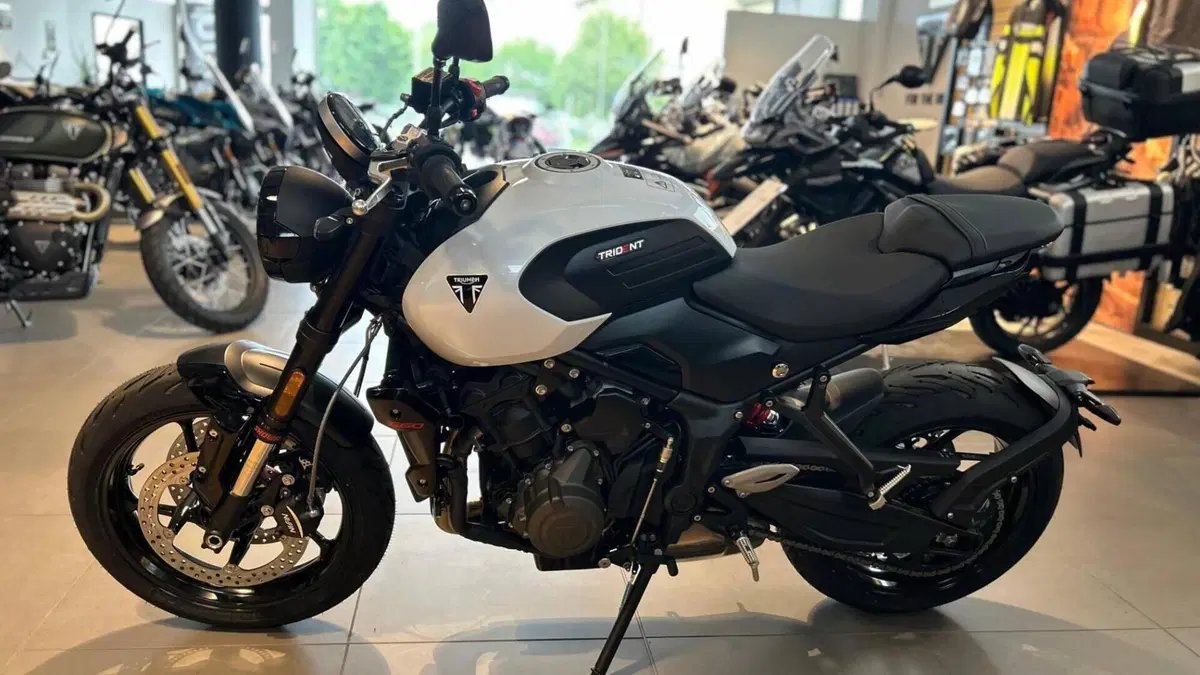 Triumph Trident 660 (2026)  (10)