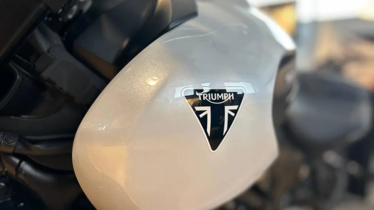Triumph Trident 660 (2026)  (12)