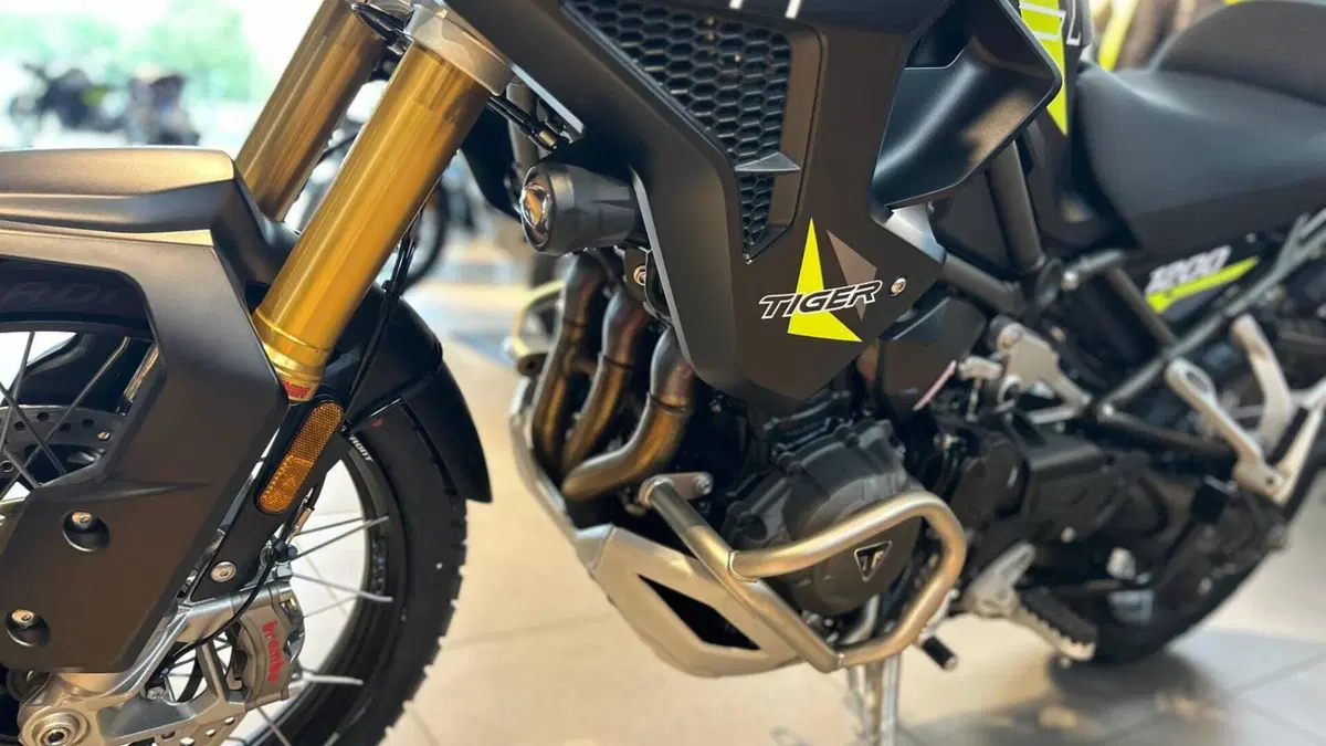 Triumph Tiger 1200 Desert Special Edition (2026)  (5)