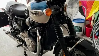 Triumph Bonneville T100 (2021 - 25) usata