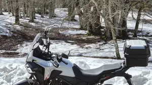 Honda NX500 (2024 - 25) 