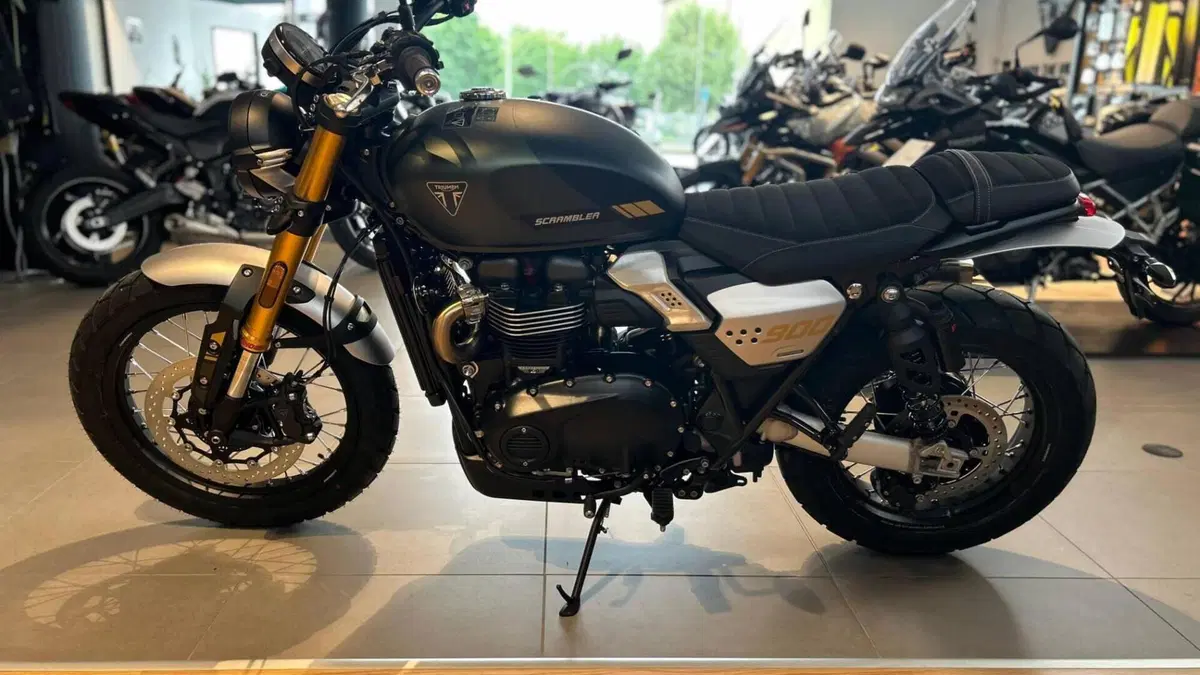Triumph Scrambler 900 (2026)  (3)