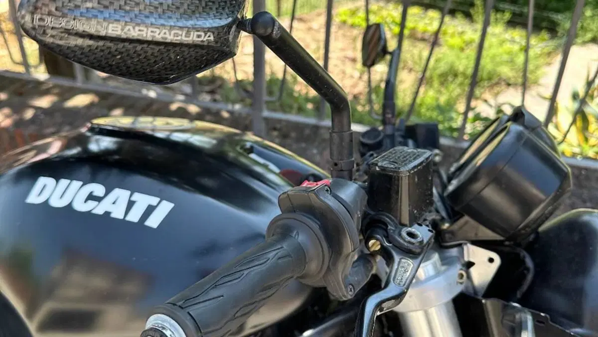 Ducati Monster 800 (2003 - 05)  (5)