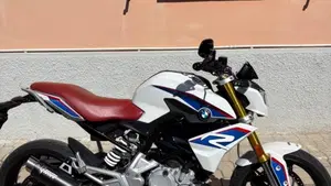 Bmw G 310 R (2016 - 20)  (2)