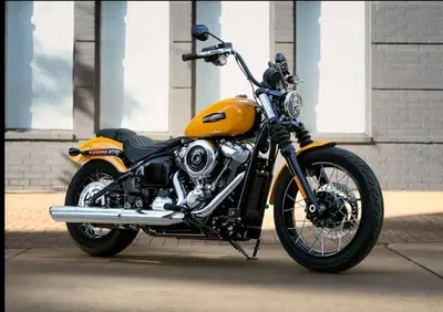 Harley-Davidson Street Bob 117 (2025 - 26) - Annuncio 10006079