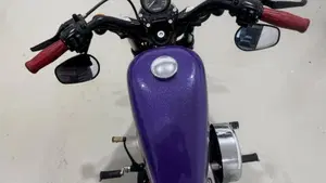 Harley-Davidson 1200 Forty-Eight (2010 - 15)  (3)