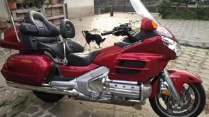Honda GL 1800 Gold Wing (2007 - 11)  (11)