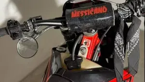 Betamotor RR 125 2T Enduro (2018)  (5)