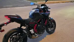 Kawasaki Z 650 Performance Akrapovic (2026)  (2)